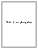 Nuôi cá theo phong thủy