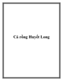 Cách nuôi cá rồng Huyết Long