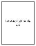 Lợi ích tuyệt vời của bắp ngô