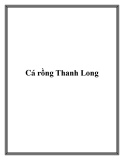 Cá rồng Thanh Long