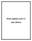 Kinh nghiệm nuôi cá chọi (Betta)