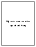 Kỹ thuật sinh sản nhân tạo cá Trê Vàng