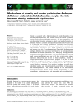 Báo cáo khoa học: Mechanisms of obesity and related pathologies: Androgen deﬁciency and endothelial dysfunction may be the link between obesity and erectile dysfunction