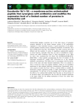 Báo cáo khoa học: Esculentin-1b(1–18) – a membrane-active antimicrobial peptide that synergizes with antibiotics and modiﬁes the expression level of a limited number of proteins in Escherichia coli