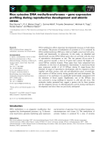 Báo cáo khoa học: Rice cytosine DNA methyltransferases – gene expression proﬁling during reproductive development and abiotic stress