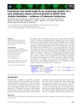 Báo cáo khoa học: Functional and small-angle X-ray scattering studies of a new stationary phase survival protein E (SurE) from Xylella fastidiosa – evidence of allosteric behaviour