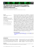 Báo cáo khoa học: The ubiquitin-like protein monoclonal nonspeciﬁc suppressor factor b conjugates to endophilin II and regulates phagocytosis