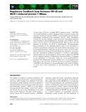 Báo cáo khoa học: Regulatory feedback loop between NF-jB and MCP-1-induced protein 1 RNase