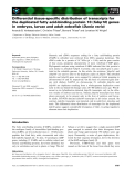 Báo cáo khoa học: Differential tissue-speciﬁc distribution of transcripts for the duplicated fatty acid-binding protein 10 (fabp10) genes in embryos, larvae and adult zebraﬁsh (Danio rerio)