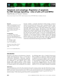 Báo cáo khoa học: Apoptosis and autophagy: Regulation of apoptosis by DNA damage signalling – roles of p53, p73 and HIPK2