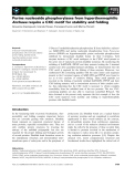 Báo cáo khoa học: Purine nucleoside phosphorylases from hyperthermophilic Archaea require a CXC motif for stability and folding