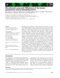 Báo cáo khoa học: Site-directed enzymatic PEGylation of the human granulocyte colony-stimulating factor