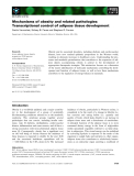 Báo cáo khoa học: Mechanisms of obesity and related pathologies: Transcriptional control of adipose tissue development