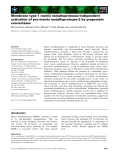 Báo cáo khoa học: Membrane type-1 matrix metalloprotease-independent activation of pro-matrix metalloprotease-2 by proprotein convertases