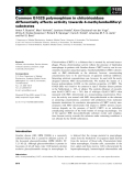 Báo cáo khoa học: Common G102S polymorphism in chitotriosidase differentially affects activity towards 4-methylumbelliferyl substrates