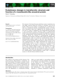 Báo cáo khoa học:  Evolutionary changes to transthyretin: structure and function of a transthyretin-like ancestral protein