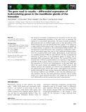 Báo cáo khoa học: The gene road to royalty – differential expression of hydroxylating genes in the mandibular glands of the honeybee