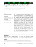 Báo cáo khoa học: Nanoparticles can induce changes in the intracellular metabolism of lipids without compromising cellular viability