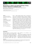 Báo cáo khoa học: Mechanisms of obesity and related pathology: linking immune responses to metabolic stress