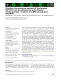 Báo cáo khoa học: Structural and mutational analysis of TenA protein (HP1287) from the Helicobacter pylori thiamin salvage pathway – evidence of a different substrate speciﬁcity