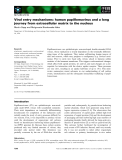 Báo cáo khoa học: Viral entry mechanisms: human papillomavirus and a long journey from extracellular matrix to the nucleus