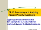 Forecasting and Analyzing Risks in Property Investments