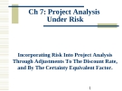 Project Analysis Under Risk