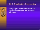  Qualitative Forecasting