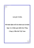 LUẬN VĂN:  Mô hình định chế tài chính nào là thích hợp và có hiệu quả nhất cho Tổng Công ty Dầu khí Việt Nam