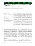 Báo cáo khoa học: Role of calcium phosphate nanoclusters in the control of calciﬁcation