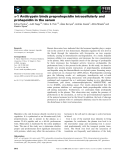 Báo cáo khoa học: a-1 Antitrypsin binds preprohepcidin intracellularly and prohepcidin in the serum