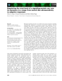 Báo cáo khoa học: Regulating the total level of a signaling protein can vary its dynamics in a range from switch like ultrasensitivity to adaptive responses