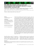 Báo cáo khoa học: MicroRNA-23b mediates urokinase and c-met downmodulation and a decreased migration of human hepatocellular carcinoma cells