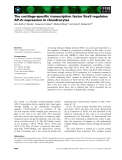 Báo cáo khoa học: The cartilage-speciﬁc transcription factor Sox9 regulates AP-2e expression in chondrocytes