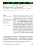 Báo cáo khoa học: Alanine screening of the intracellular loops of the human bradykinin B2 receptor – effects on receptor maintenance, G protein activation and internalization