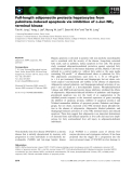 Báo cáo khoa học: Full-length adiponectin protects hepatocytes from palmitate-induced apoptosis via inhibition of c-Jun NH2 terminal kinase