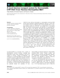 Báo cáo khoa học: A novel electron transport system for thermostable CYP175A1 from Thermus thermophilus HB27