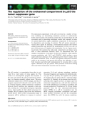 Báo cáo khoa học: The regulation of the endosomal compartment by p53 the tumor suppressor gene