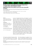 Báo cáo khoa học: Do N-terminal nucleophile hydrolases indeed have a single amino acid catalytic center? Supporting amino acid residues at the active site of penicillin G acylase