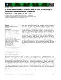Báo cáo khoa học: A study of microRNAs in silico and in vivo: bioimaging of microRNA biogenesis and regulation