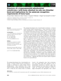 Báo cáo khoa học: Structure of a trypanosomatid mitochondrial cytochrome c with heme attached via only one thioether bond and implications for the substrate recognition requirements of heme lyase