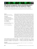 Báo cáo khoa học: Site-directed mutagenesis, kinetic and inhibition studies of aspartate ammonia lyase from Bacillus sp. YM55-1