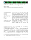 Báo cáo khoa học: Differential recognition of heat shock elements by members of the heat shock transcription factor family