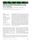 Báo cáo khoa học: Adaptation to G93Asuperoxide dismutase 1 in a motor neuron cell line model of amyotrophic lateral sclerosis The role of glutathione