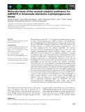 Báo cáo khoa học: Molecular basis of the unusual catalytic preference for GDP/GTP in Entamoeba histolytica 3-phosphoglycerate kinase