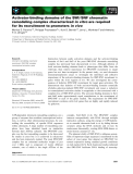 Báo cáo khoa học: Activator-binding domains of the SWI ⁄ SNF chromatin remodeling complex characterized in vitro are required for its recruitment to promoters in vivo