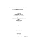 Research " THE EFFECTS OF MACROECONOMIC UNCERTAINTY ON IRREVERSIBLE INVESTMENT  "