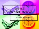 Thần kinh thực vật