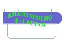 Bài giảng Đại cương hóa dược - Kháng sinh họ β-lactamin