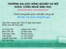 CNSH trong Bảo quản chế biến nông sản - Cà chua chuyển gen